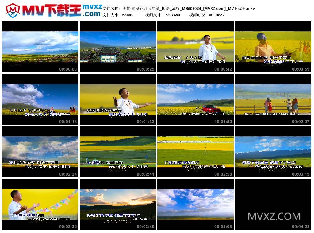 李雄-油菜花开我的爱_国语_流行_MB503024